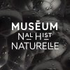 Muséum National d’histoire naturelle  - © Muséum National d’histoire naturelle
