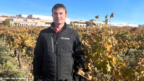 Cédric José est DSI de l’Union des Vignerons des Côtes du Rhône (UVCDR) / Cellier des Dauphins. - © Cellier des Dauphins