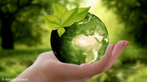 Protéger l’environnement : un engagement essentiel pour les Français.  - © Annca / Pixabay