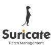 Suricate - © Suricate