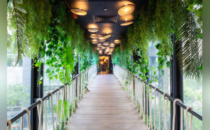 Les nouveaux bureaux de Davidson Consulting conçu par Colliers France © Colliers France