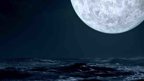 Une nuit sous la pleine lune, exposition immersive à Jam Capsule - © Lucid Realities