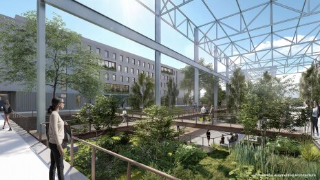 Le futur campus bénéficiera d’espaces de jardins - © Patriarche