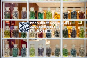 Herbier en vitrine. © Clarins / Olivier Loser